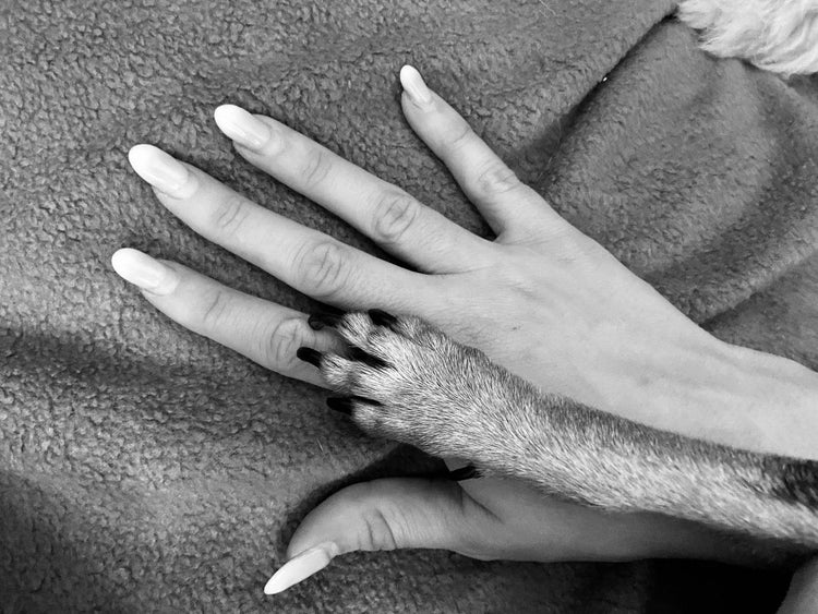 Impronte d'Amore